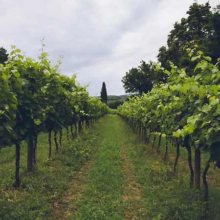 Agriturismo Matrignano Фермерский дом Ареццо